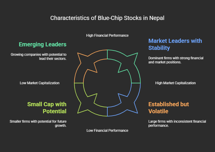 Characteristics of Blue-Chip Stocks